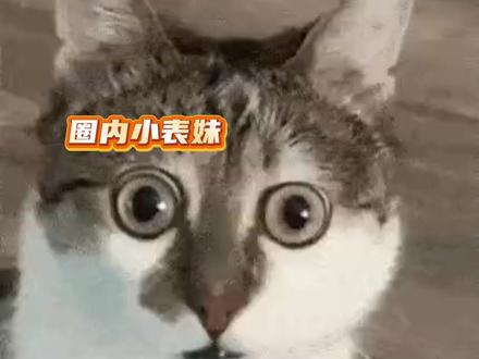 笑得真可爱,像鬼一样