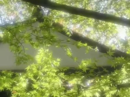 你是不是快不行了
#可爱过敏原 #可爱过敏原广播剧 #宋煜乐知时