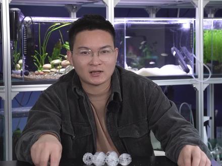 #水族爱好者 #观赏鱼 #养鱼人 水族店的老板不会说实话商品系列~