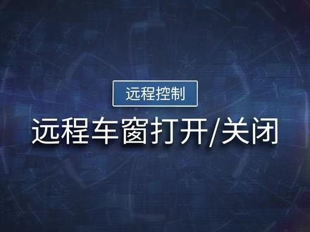 bluelink介绍-车窗控制