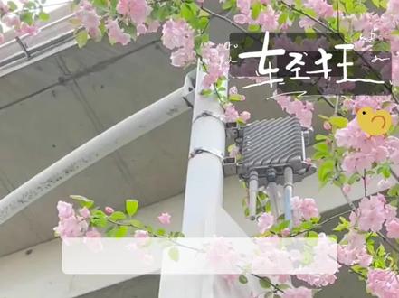 不行了 这个轻狂笑料怎么这么多#轻狂#by巫哲#寇忱霍然