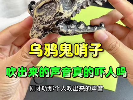 乌鸦鬼哨子真的这么吓人吗?#测评#实验#猎奇