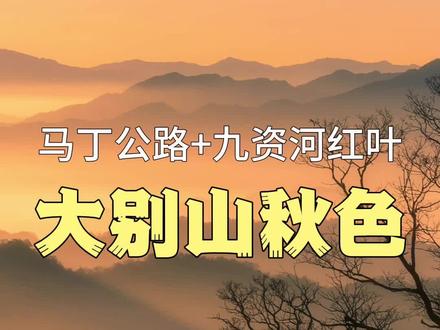 匠心整理的大别山深处小众秋色!#马丁公路 #九资河红叶节 #马鬃岭 #秋天 #红叶🍁
