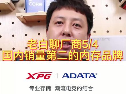 老白五一聊厂商5/4,国内销量第二的内存厂商。
