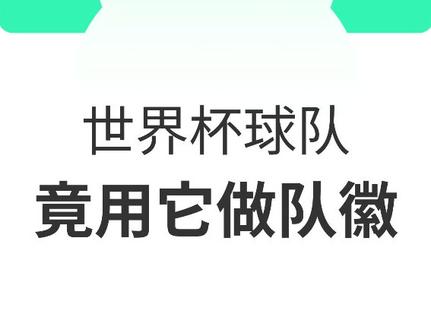世界杯各参赛队为什么不印国旗而是印队徽呢?而日本队的队徽竟然用它?#世界杯 #梅西 #卡塔尔世界杯 #日本队