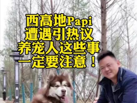 西高地Papi的遭遇引热议,养宠人这些事一定要注意! #情感 #西高地Papi #养宠安全 #铲屎官的日常 #宠物防护