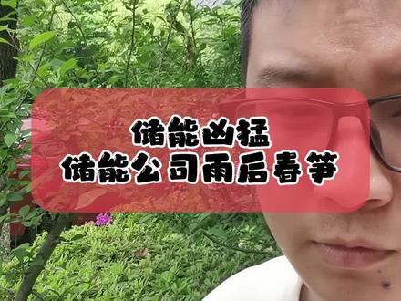 4.19储能公司犹如雨后春笋,海外市场火热,巨头参与,竞争加剧#财经 #新能源 #储能 #投资 #光伏