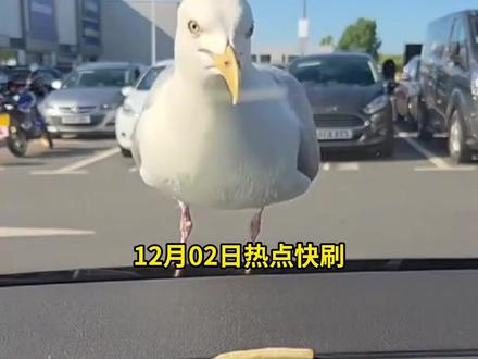 12月02日热点快刷#热点新闻事件