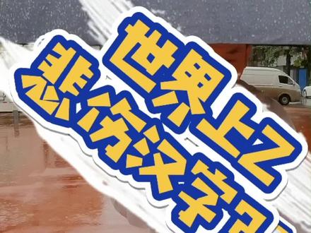 Z悲伤的汉字,竟然是“它”。#汉字 #街头采访 #情感