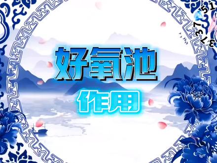 水处理中好氧池的作用#污水处理菌种 #复合脱氮菌 #氨氮去除菌 #cod降解菌种 #生物促进剂 @生物菌种 @水圈达人