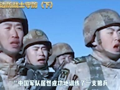 狼跟边防战士守防#人与自然和谐共处