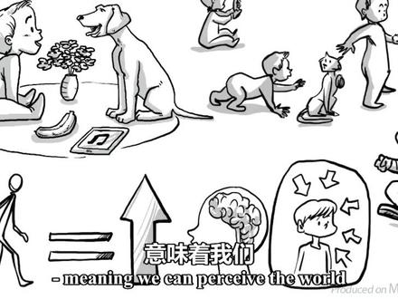 皮亚杰认知发展理论 四阶段分析成长规律 #教育 #实用心理学 #科普