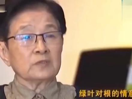 怒斥x英暗箱操作毁冠军梦#饭圈 #饭圈文化 #姚贝娜