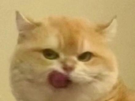 咱们东北人有属于自己的琼浆玉液 #通化葡萄酒 #葡萄酒 #东北