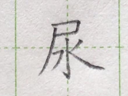小学二年级语文下册生字“尿”#练字#写字#二年级 #硬笔@抖音小助手 一起练字吧