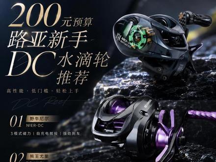 路亚新手必看:200元左右预算性价比最高的3颗DC水滴轮 路亚新手 300 元预算能买到哪些真 DC 电子刹车水滴轮,本系列视频均给大家保证无充值无推广,均是本人几年实战路亚经验得出的结论,新手朋友们可以放心抄作业#路亚 #路亚野钓 #路亚钓鱼 #DC水滴轮 #路亚新手入门教程
