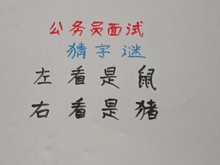 公务员面试:左看是鼠,右看是猪?打一字