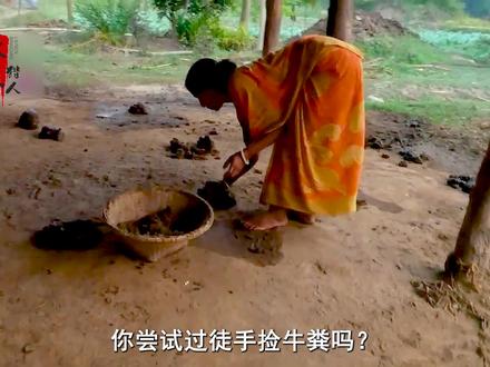 印度农村生活,徒手捡牛粪是种什么体验? #我的乡村生活 #我的乡野山居生活 #乡村味道 #我的农村生活