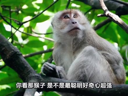 第094集 赏奇析疑