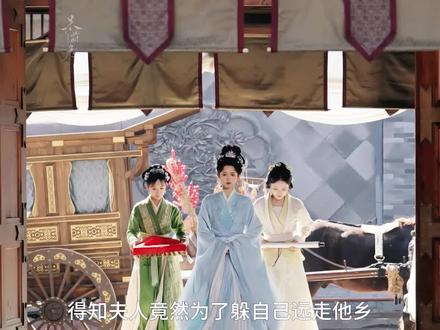 #虎妻#至春禾#杨泽#至春禾杨泽新剧开播