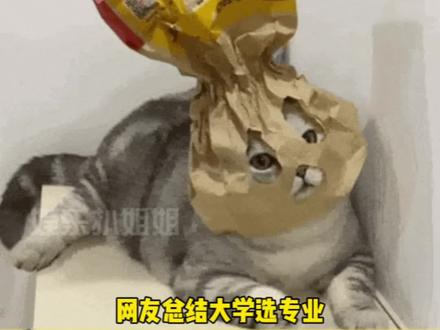 看完网友们的建议这下更纠结了 #娱乐评论大赏 #专业报考