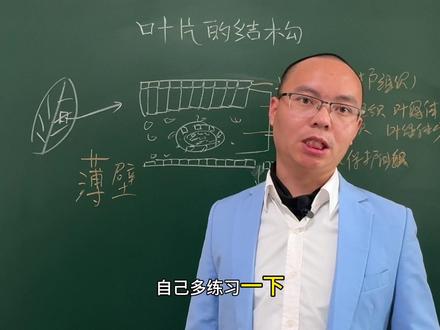 叶片结构 新人教版七下生物:叶片的结构!#新人教版七下 #叶片的结构
