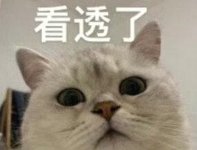 双鱼从不缺人爱,只缺有人懂;看似最温柔的双鱼,内心其实最冷漠#水象星座 #双鱼座 #星座解析 #情感共鸣