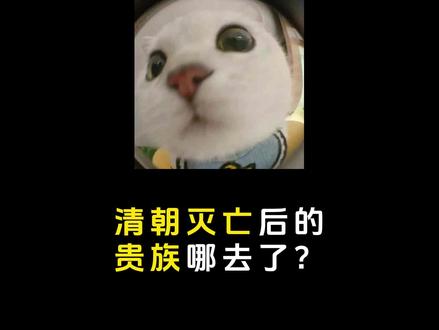 清朝灭亡后,贵族们去哪了? #有趣的知识又增长了 #科普一下