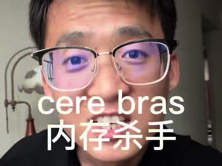 cerebras也许是新时代第一炮,杀死内存第一枪#ai #内存