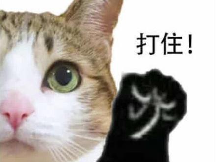 拜托,巨蟹座如果这样就是不喜欢你!
懂巨蟹座的都知道,巨蟹的拒绝不一定要用语言表达,很多时候除非你们把ta弄烦得不行了,否则ta们都会以这样的行为来表示不感兴趣…#星座情感 #巨蟹座 #巨蟹男 #巨蟹女 #陶白白