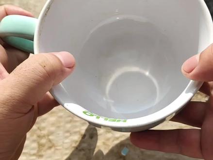 是不是养碗莲的花友都有一个小容器种植的执念?一花一世界,一叶一菩提,方寸之间自有天地!那么,如何小容器种植碗莲?#碗莲 #荷花 #碗莲种植 #碗莲微缩 #碗莲开花