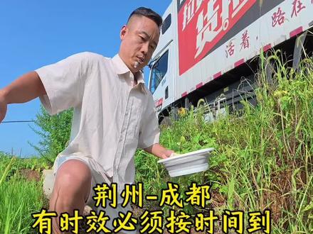 路不停灶不冷,荆州到成都,有时效必须按时间到