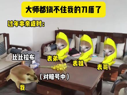 大师都镇不住我的刀盾了 拼好歌来自@蟹蟹繁繁 #猫meme #我的刀盾 #我要验牌 #比比拉布 #巴巴博一