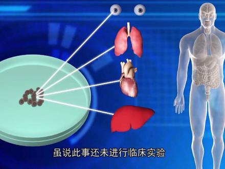 日本培养“半人半猪”怪物,体内器官跟人无异,甚至能供人所用。
