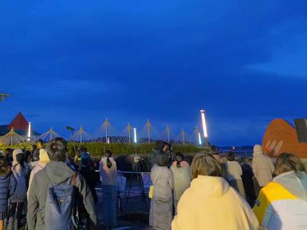 2024年冬,最漂亮的一枚水母#烟花 #烟花秀 #花火大会