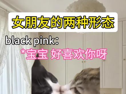 不是 两种形态?还不削弱嘛#猫meme #猫meme表情包 #女朋友生气系列 #情侣之间如何让感情升温 #真实生活分享计划