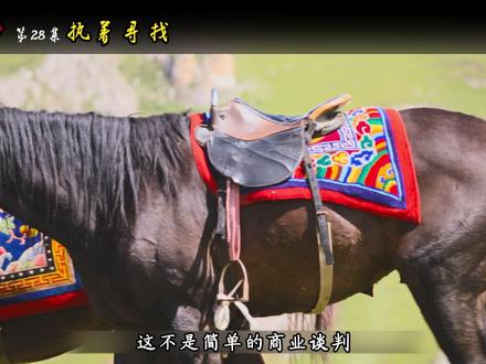 《生命树》第28集: 执着寻找——他快把草原找遍了,可多杰,你到底在哪儿?#生命树 #生命树不愧是央妈严选好剧 #胡歌 #杨紫 #剧情