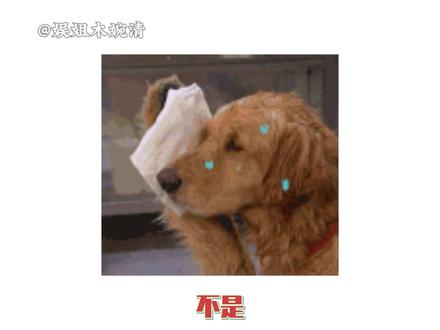 自以为潇洒帅气,实则特别没格局 #手捧花 #婚礼 #新疆 #内容启发搜索