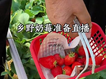 农村宅基地办理营业执照,全网最详细最新教程!跟我一样返乡创业的宝子们,都去办!迈出了第一步!#返乡创业新农人 #返乡创业青年 #草莓采摘园 #创业vlog #创业日记