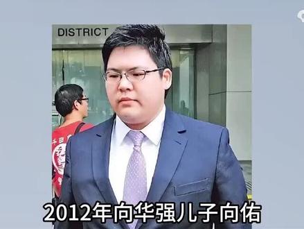 华强之子,天下最强