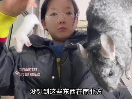 没想到这些东西在南北方差异这么大,动物体型的差距也太大了! #南北差异 #不可思议 #百科知识 #常识普及