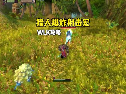 猎人434爆炸射击宏 距离显示插件#魔兽世界 #巫妖王之怒