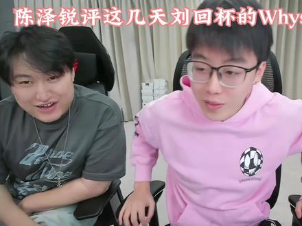 陈泽锐评这几天刘回杯的王浩宇Whys #王浩宇 #Whys #刘回杯三角洲行动 #陈泽 @王浩宇Whys