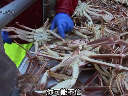 #淘宝闪购点外卖更优惠 淘宝闪购,超值早餐 5.9 元起,一日之计在于晨
第24集:巫师号大丰收,西布鲁克号艰难寻找蟹群聚集地#捕蟹#阿拉斯加帝王蟹#渔民生活#抖音精选计划