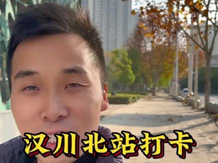 热烈祝贺我的家乡汉川迎来双高铁时代,汉川北站终于开通了#汉川北站 #寻美汉川