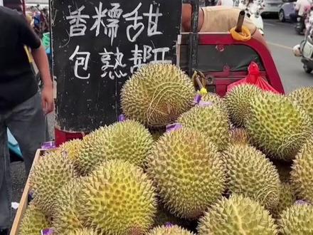 外网被中国广西路边摊水果价格惊讶! #硬核深度计划 #水果自由 #民生