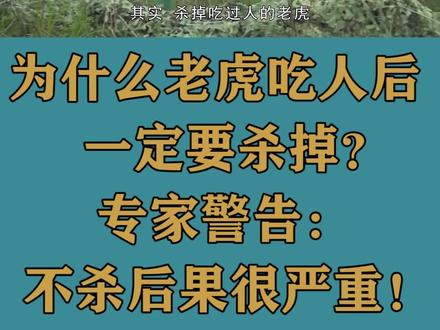 为什么老虎吃人后一定要杀掉?专家警告:不杀后果很严重!#科普