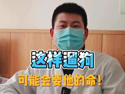 遛狗也要讲科学#太原宠物 #山西宠物店 #山西宠物 #宠物医院的那些事 #宠物#狗狗#遛狗