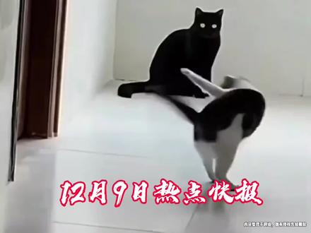 12月9日热点快报#社会百态#热点新闻事件