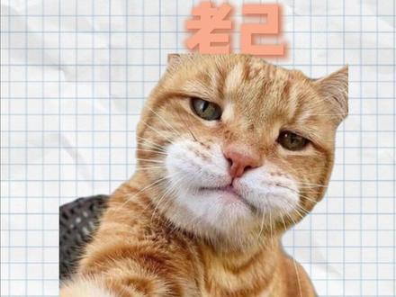 贤己扶我青云志 #爱你老己 #恋爱